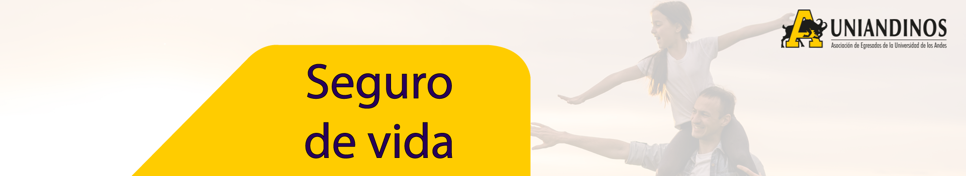 Convenio Slider