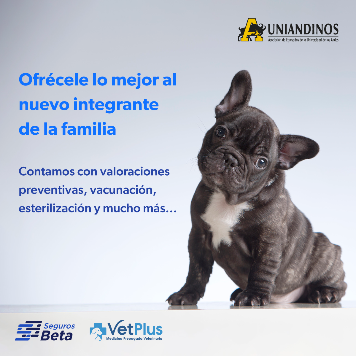 Convenio Slider