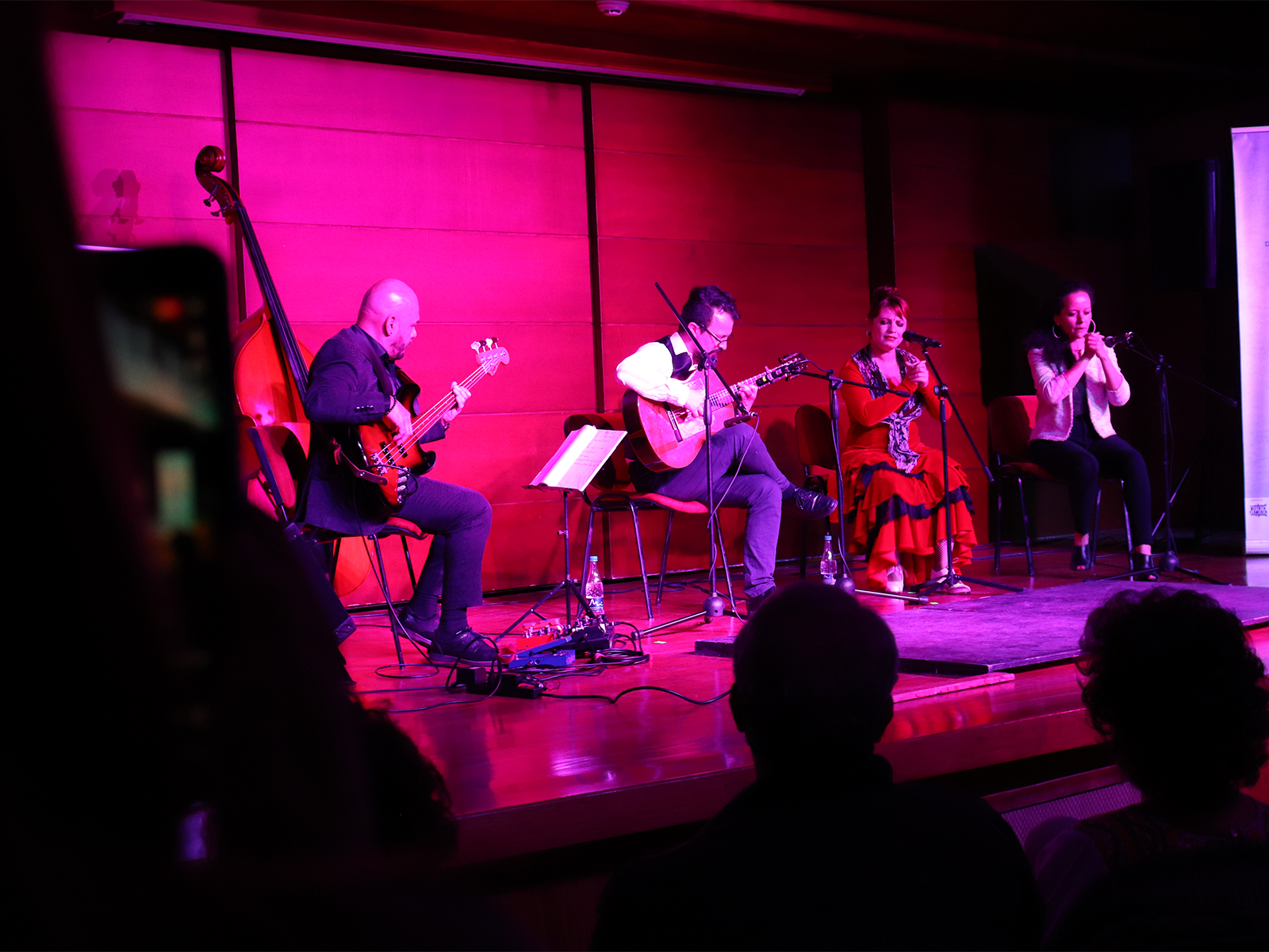 flamenco-bogota-unianidnos