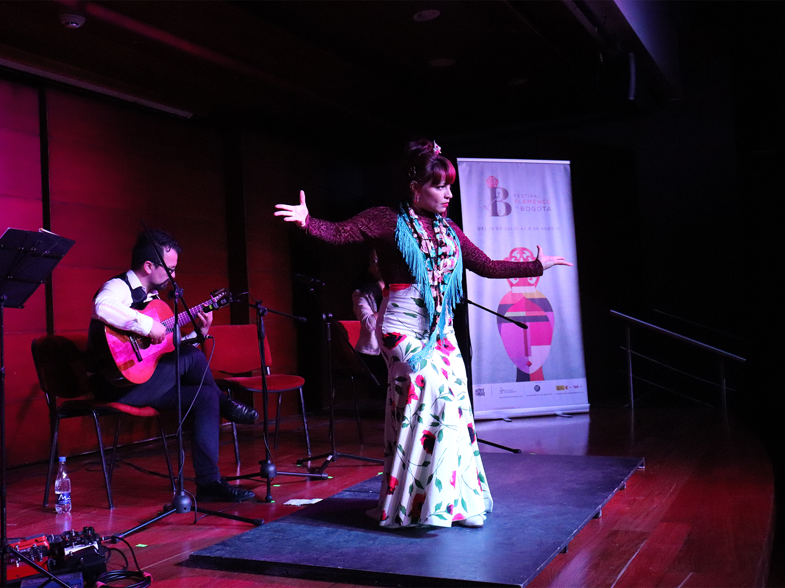 flamenco-bogota-unianidnos