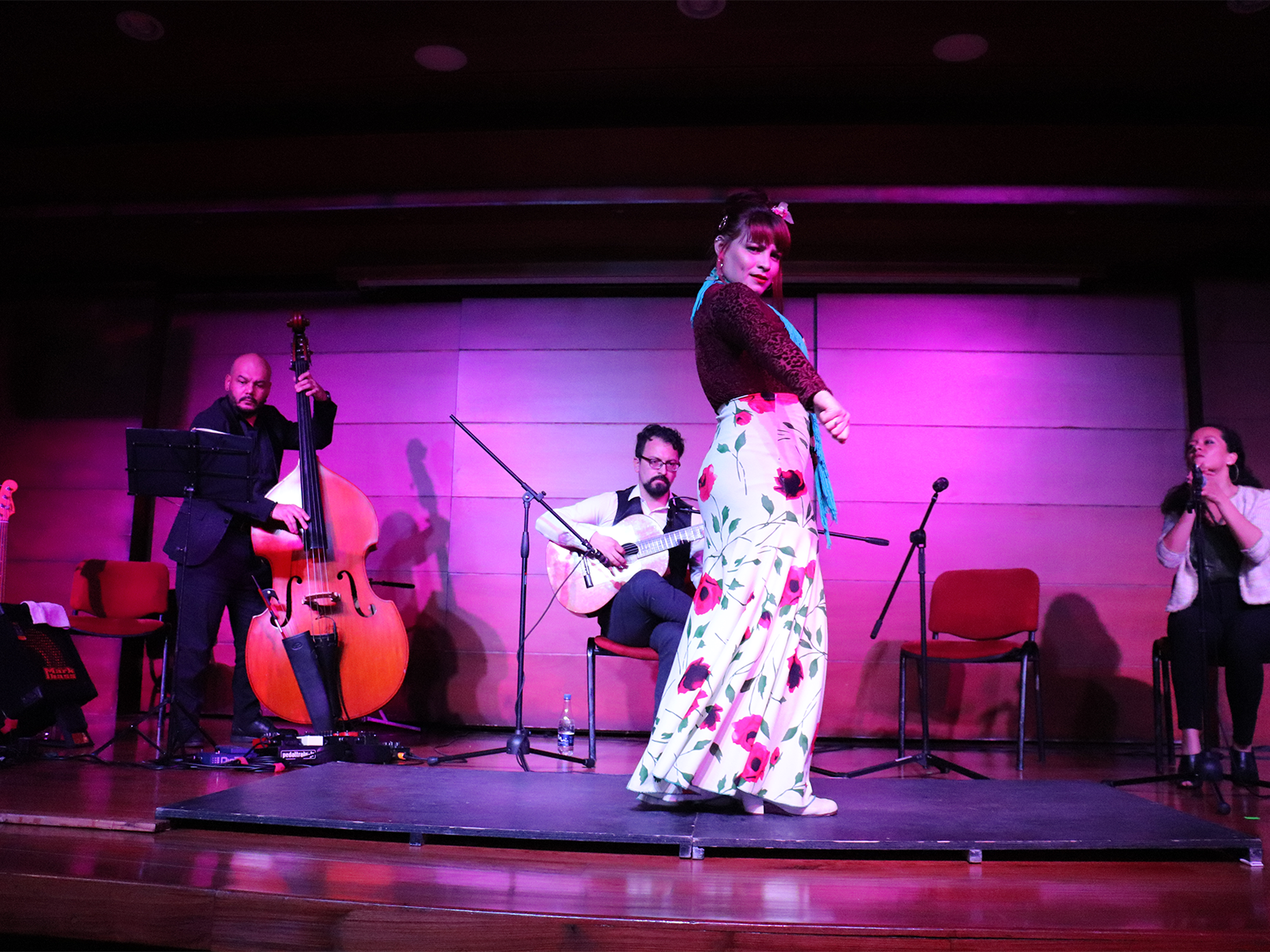 flamenco-bogota-unianidnos