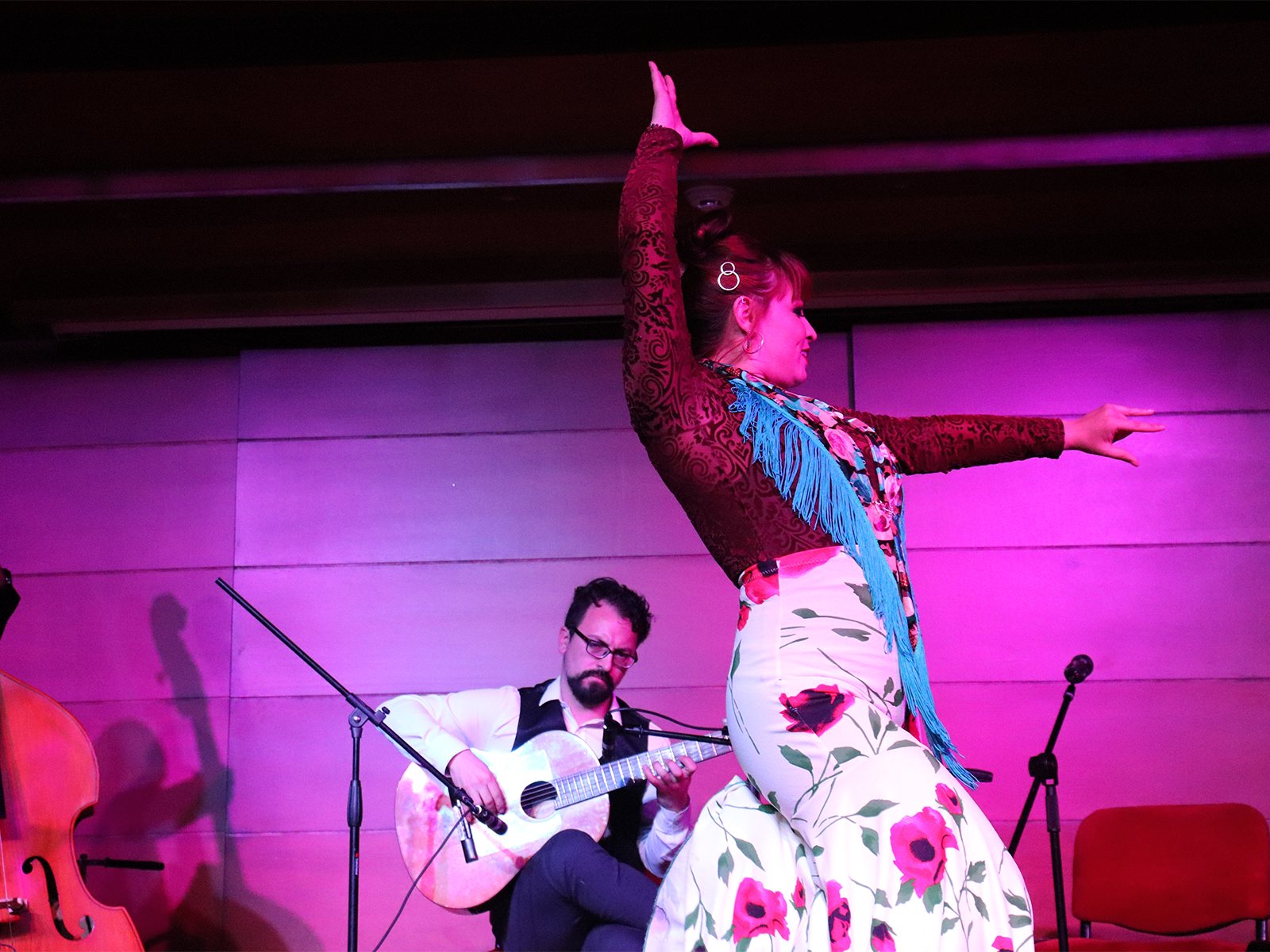 flamenco-bogota-unianidnos