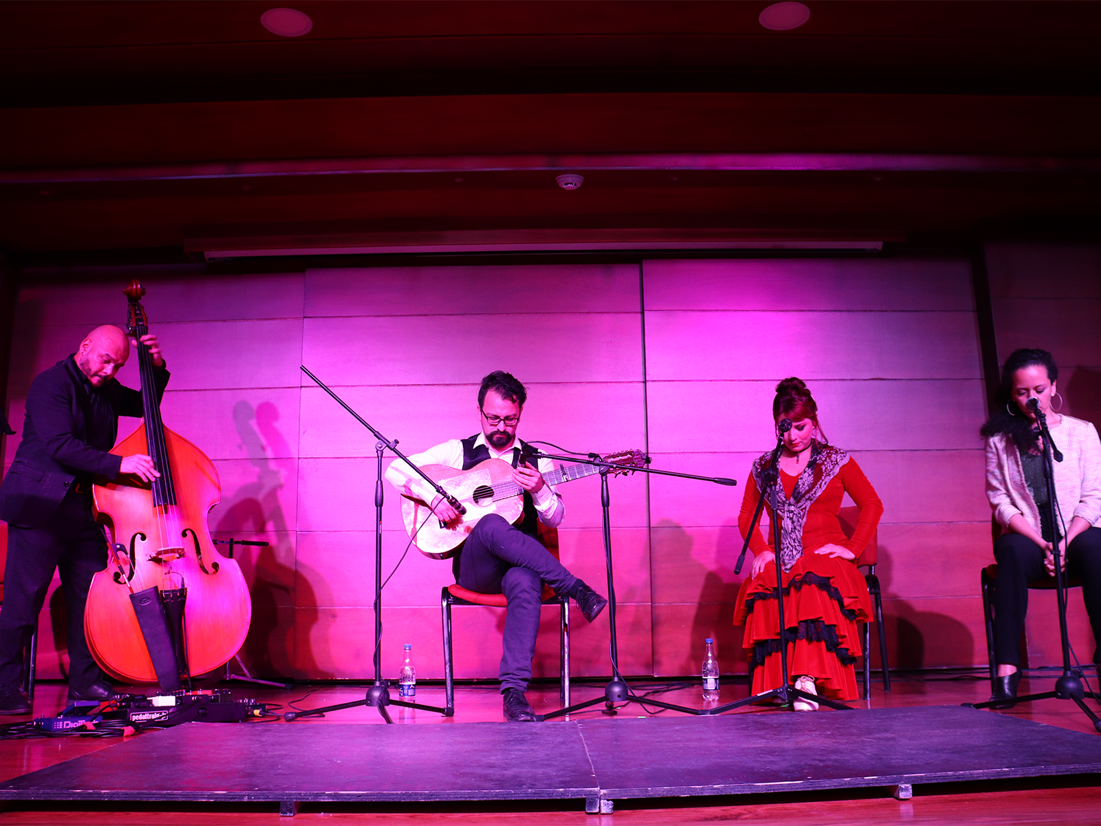 flamenco-bogota-unianidnos