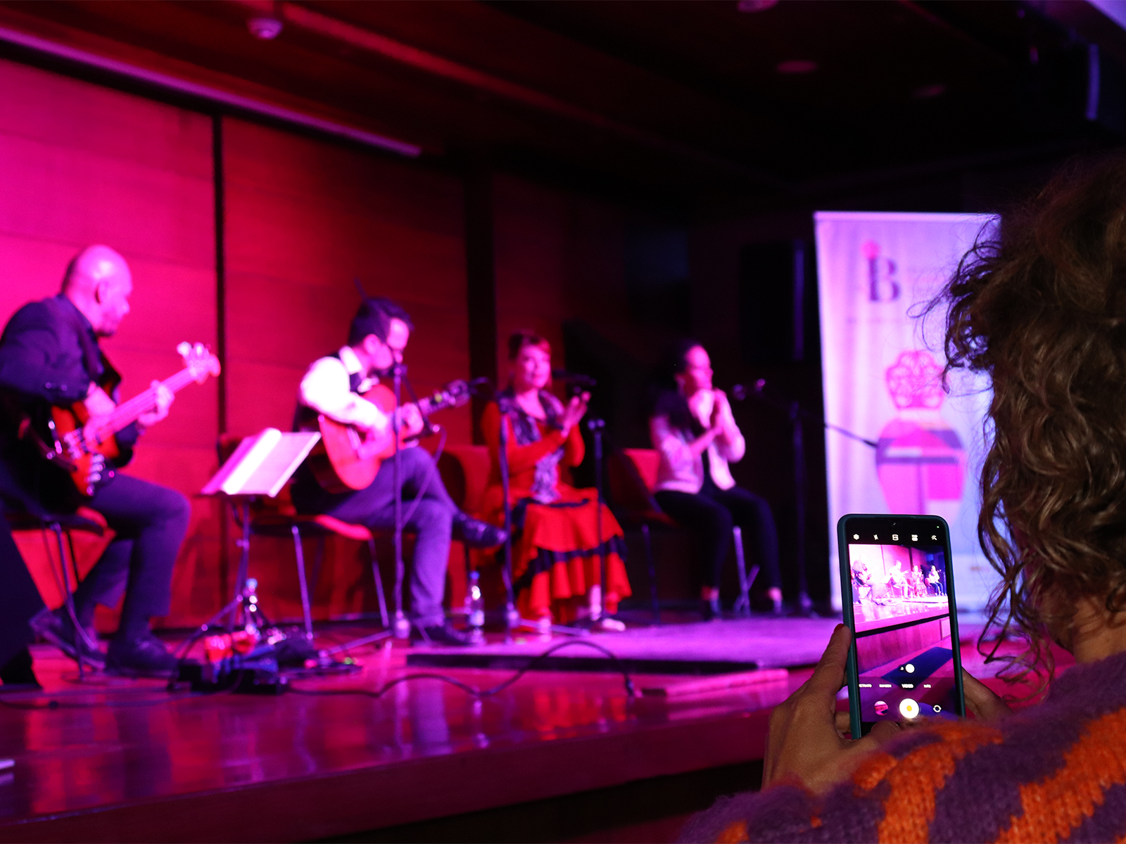 flamenco-bogota-unianidnos