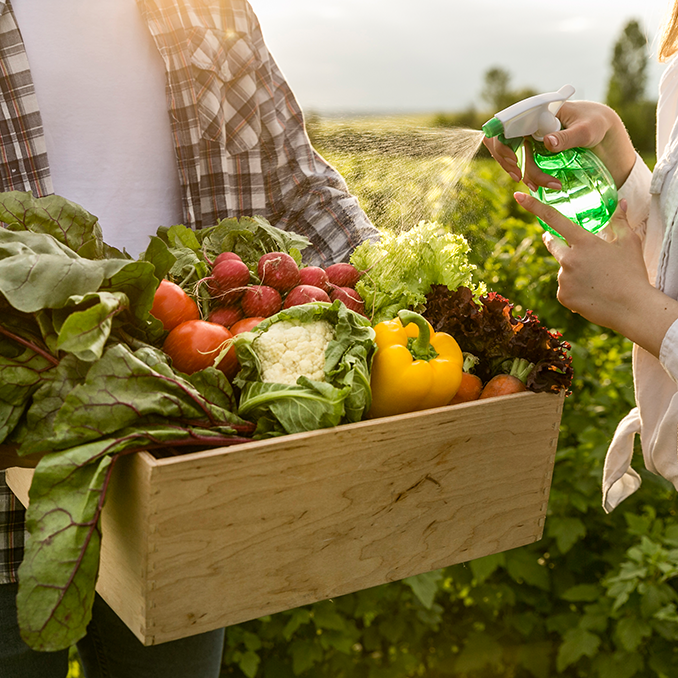 Mercado-Agroecológico