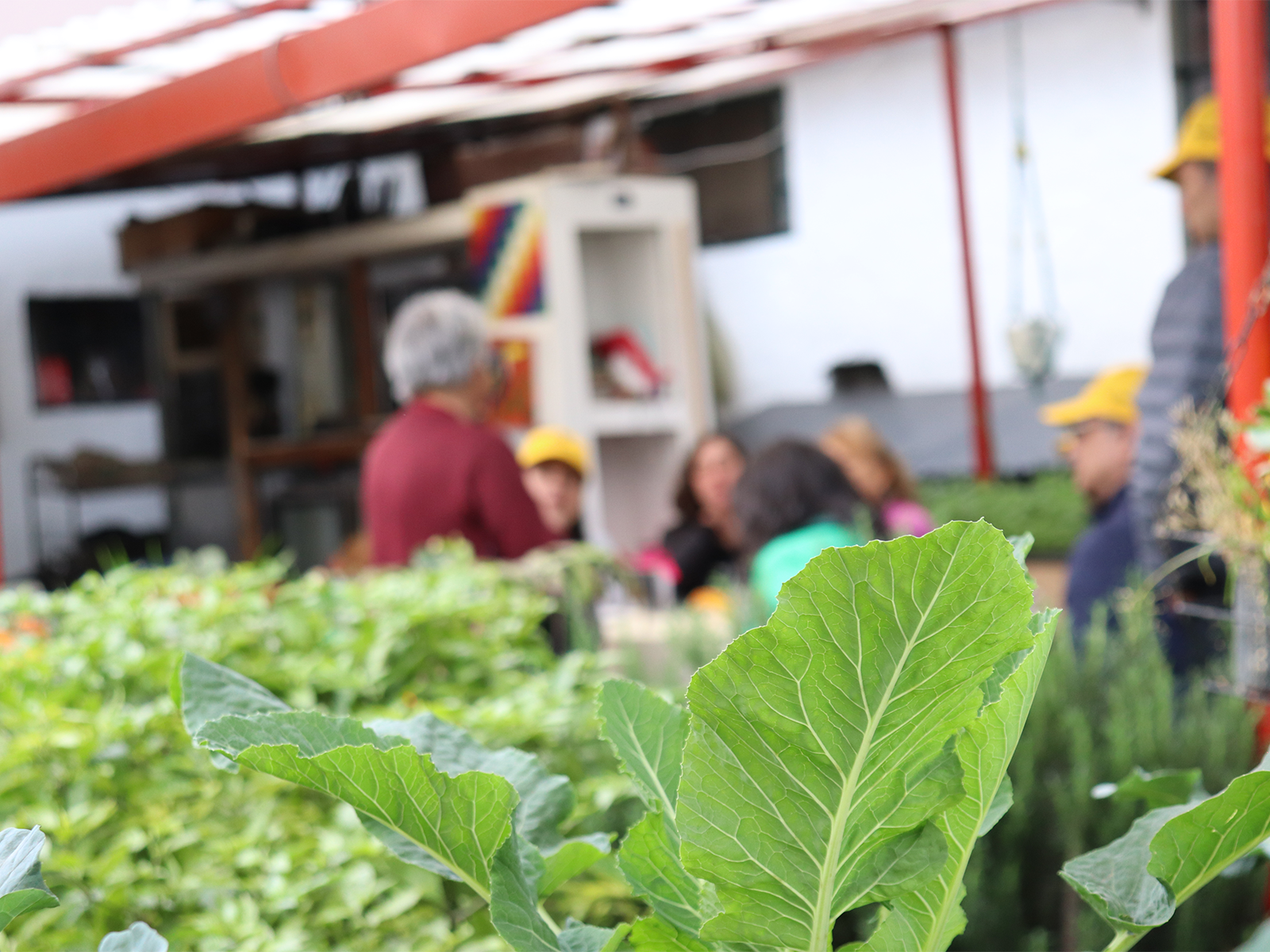 de-huerta-en-huerta